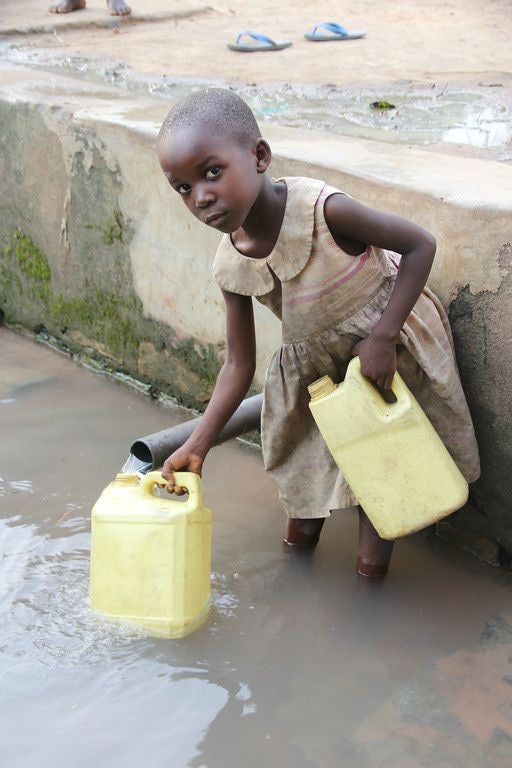 Water Filter