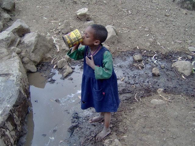 Water Filter